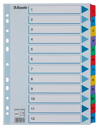 Regiszter, karton, A4, 1-12, ESSELTE Mylar