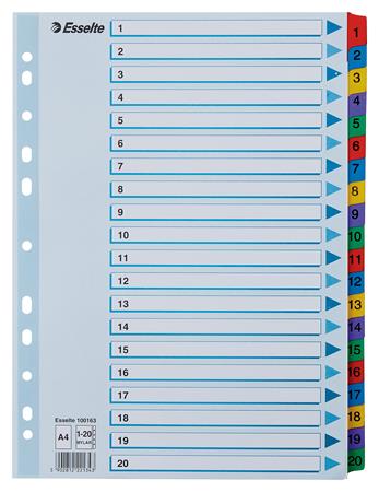 Regiszter, karton, A4, 1-20, ESSELTE Mylar