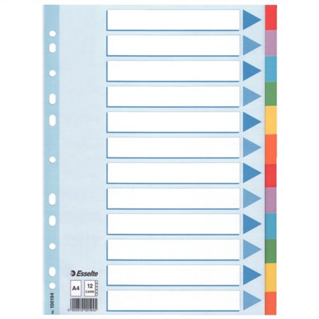Regiszter, karton, A4, 12 részes, írható előlappal, ESSELTE Standard, színes