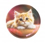 Matrica, tépőzáras, Classy Plus táskához, BELMIL Cats