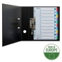 Regiszter, karton, A4, 1-10, ESSELTE Mylar