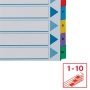 Regiszter, karton, A4, 1-10, ESSELTE Mylar