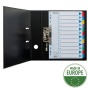 Regiszter, karton, A4, 1-12, ESSELTE Mylar