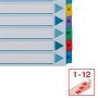 Regiszter, karton, A4, 1-12, ESSELTE Mylar