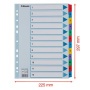 Regiszter, karton, A4, 1-12, ESSELTE Mylar
