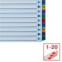 Regiszter, karton, A4, 1-20, ESSELTE Mylar