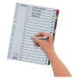 Regiszter, karton, A4, 1-20, ESSELTE Mylar