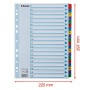 Regiszter, karton, A4, 1-20, ESSELTE Mylar