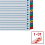 Regiszter, karton, A4, 1-31, ESSELTE Mylar