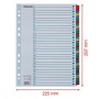 Regiszter, karton, A4, 1-31, ESSELTE Mylar