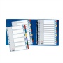 Regiszter, laminált karton, A4, 6 részes, ESSELTE Mylar