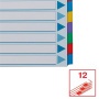 Regiszter, laminált karton, A4, 12 részes, ESSELTE Mylar