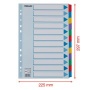 Regiszter, laminált karton, A4, 12 részes, ESSELTE Mylar