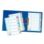 Regiszter, karton, A4, 5 részes, írható előlappal, ESSELTE Standard, színes