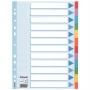 Regiszter, karton, A4, 12 részes, írható előlappal, ESSELTE 'Standard', színes