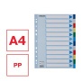 Regiszter, műanyag, A4, 12 részes, ESSELTE