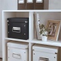 Doboz, M méret, LEITZ Click&Store, fekete