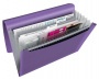 Harmonikamappa, A4, PP, 6 rekeszes, ESSELTE Colour`Breeze, levendula