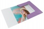 Gumis mappa, karton, A4, ESSELTE Colour`Breeze, levendula