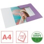 Gumis mappa, karton, A4, ESSELTE Colour`Breeze, levendula