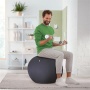 Ülőlabda, nehezékkel, 55cm, LEITZ Ergo Active, sötétszürke