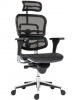 Ergohuman főnöki forgószék | hálós háttámla és ülőlap | fejtámla | alumínium lábkereszt | fekete