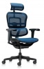 Ergohuman Ultra II vezetői forgószék | hálós háttámla és ülőlap | fejtámla | alumínium lábkereszt | fekete váz, kék háló