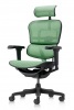 Ergohuman Ultra II vezetői forgószék | hálós háttámla és ülőlap | fejtámla | alumínium lábkereszt | fekete váz, zöld háló