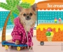 Mozaikos képkészítő készlet, MAPED CREATIV, Cool Animals, menő állatok