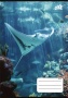 Füzet, tűzött, A5, kockás, 32 lap, COOL BY VICTORIA Ocean World, 27-32