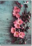 Füzet, tűzött, A5, vonalas, 96 lap, COOL BY VICTORIA, 'Vintage flower'