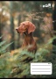 Füzet, tűzött, A5, kockás, 32 lap, COOL BY VICTORIA, Hounds, 27-32
