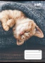 Füzet, tűzött, A5, kockás, 32 lap, COOL BY VICTORIA, Cats, 27-32
