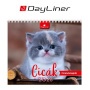 Naptár, asztali, álló, DAYLINER 'Cicák'