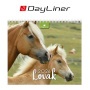 Naptár, asztali, álló, DAYLINER 'Lovak'