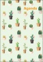 Naptár, tervező, A5, heti, DAYLINER, 'Colors', Cactus