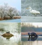 Naptár, fali, CSG, Vizeink