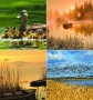 Naptár, fali, CSG, Vizeink