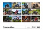 Naptár, fali, DAYLINER, Motorbikes