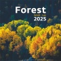 Naptár, fali, DAYLINER, 'Forest'