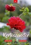 Naptár, fali, DAYLINER, 'Kertészmester'