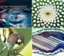 Naptár, fali, DAYLINER, Macro Lens