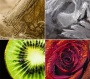 Naptár, fali, DAYLINER, Macro Lens