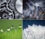 Naptár, fali, DAYLINER, Macro Lens