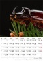 Naptár, fali, DAYLINER, Macro Lens
