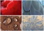Naptár, fali, DAYLINER, Macro Lens