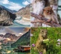 Naptár, fali, DAYLINER, Természet varázsa