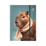 Gumis mappa, karton, A4, OPTISCHOOL 'Capybara'