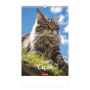 Naptár, fali, TOPTIMER, 'Cicák'