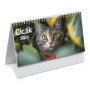 Naptár, asztali, álló, TOPTIMER, 'Cicák'